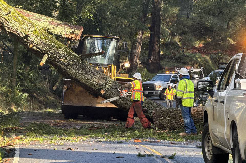 Storm Restoration